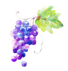 grape